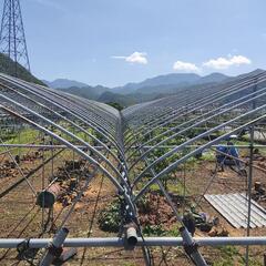 格安中古　雨避けアーチパイプ　Φ22 間口5m用　1本380円　在庫500本→300本→260本位の画像