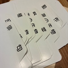 家庭保育園　たのしい絵カード1500 新品CDセット付　の画像