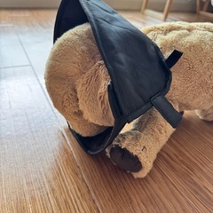 エリザベスカラーの画像