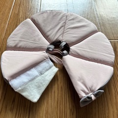 エリザベスカラーの画像