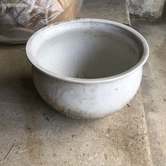 決まりました‼️あげます‼️大きめ鉢の画像