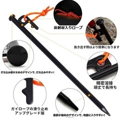 ペグ　スチール　16本の画像