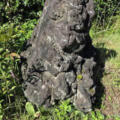 【無料でお譲りします】庭石・灯籠・手水鉢　の画像