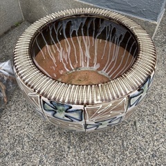 メダカ 飼育  火鉢の画像