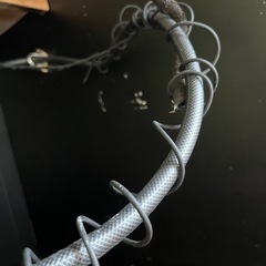 オマケ品　爬虫類　カメレオン　用品の画像