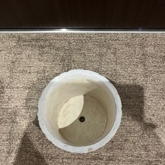 植木鉢等の画像