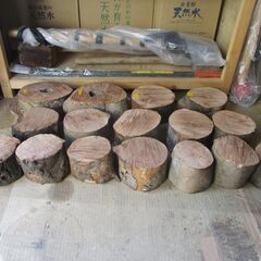 希少 丸太 : 椿(ツバキ)の広葉樹 屋内乾燥約3年・NO2の画像