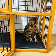 3段木製キャットケージの画像