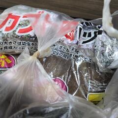 カブトムシ飼育セットの画像