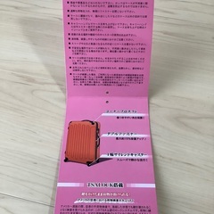 【中古・美品】TSAロック搭載 中型スーツケース&スーツケースベルトの画像