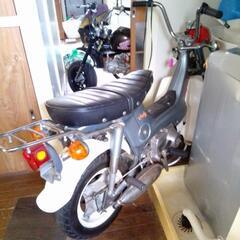 初期型ホンダダックス70の画像