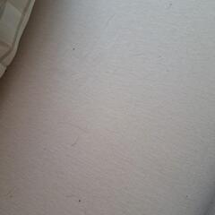 シングル敷布団とマットレスのセットの画像