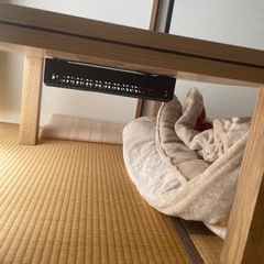 ニトリ正方形こたつ＋椅子の画像