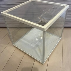 水槽の画像