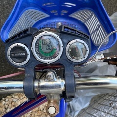 子供用自転車　ブリヂストンEX063の画像