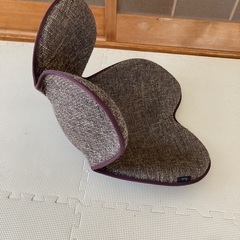 骨盤矯正シートの画像