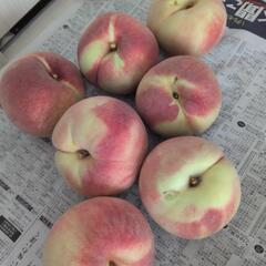 川中島　桃　1玉200円の画像