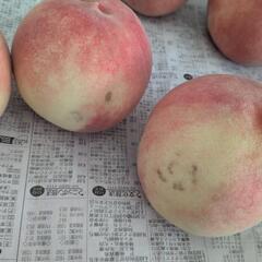 川中島　桃　1玉200円の画像