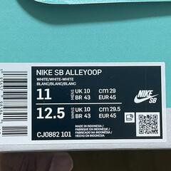 NIKE SB ALLEYOOP スニーカー   の画像