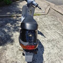 ホンダ　スクーター　実働　原付　原付二種の画像