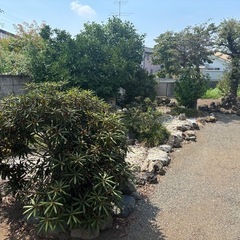 庭木の剪定及び回収の画像