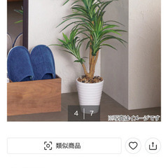 ニトリ　フェイクグリーン　ドラセナの画像