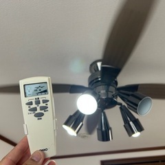 シーリングファン DAIKO ダイコー 大光電機 電球型蛍光灯 AS562Dの画像
