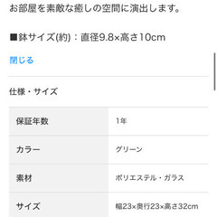ニトリ　フェイクグリーン　パキラ1の画像