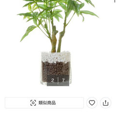 ニトリ　フェイクグリーン　パキラ1の画像