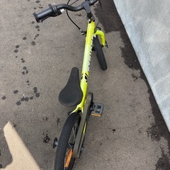 【希少】限定色　STRIDER 14x イエロー ライム　キッズバイク　ランバイクの画像