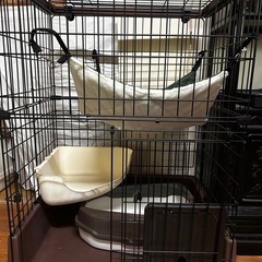 中古　猫使用　サークル ケージ　の画像