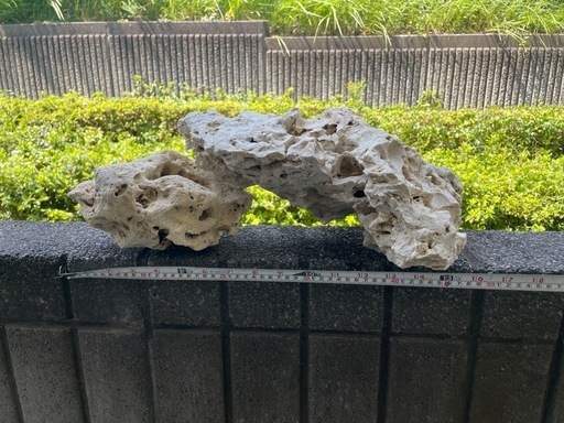 デスロック　写真以外に数キロおまけ付き
　　　