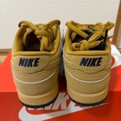 ナイキ ダンク LOW レトロ SE メンズシューズ / Nike Dunk Low Retro SE HQ1932-700 の画像