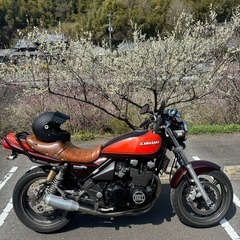 ゼファーxの画像