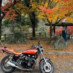 ゼファーxの画像