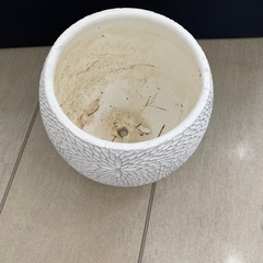 鉢、七号、鉢植え、
　の画像