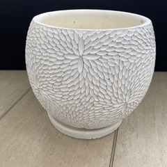 鉢、七号、鉢植え、
　の画像