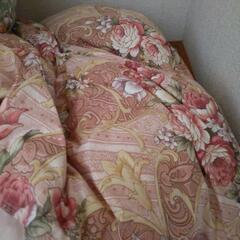 美品！！高品質羽毛布団2枚セットの画像