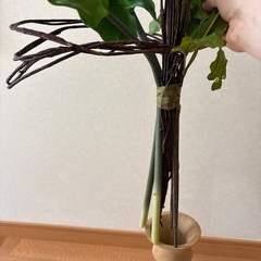 インテリア フェイクグリーン 造花  の画像