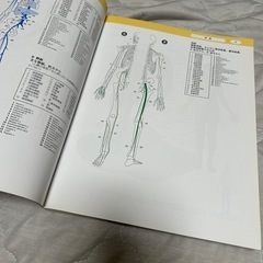人体解剖カラーアトラス原書第五版の画像