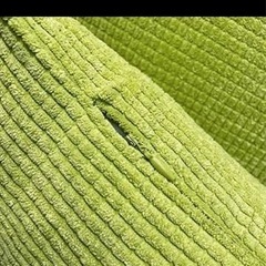 未使用 クッションカバー 2枚セット ライトグリーンの画像