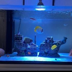 沈没船　オブジェの画像