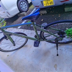 Bianchiの画像