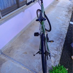 Bianchiの画像