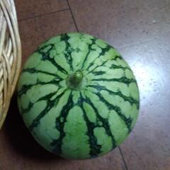 スイカ🍉２個 まとめての画像