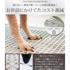 高床式トイレ　ペットの画像