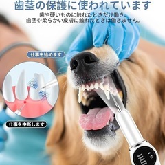 KPPK 超音波歯クリーナー 猫用 犬用歯ブラシ USB充電式 5段階調整 内蔵LED照明 クリーニングキット IPX6防水 ペット用歯ブラシの画像