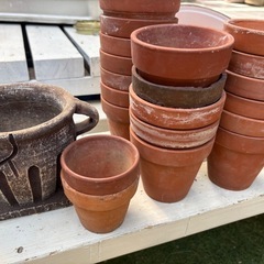 植木鉢　鉢　ガーデニング　植木　多肉　庭の画像