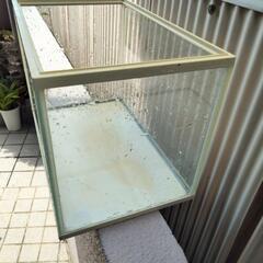 水槽の画像