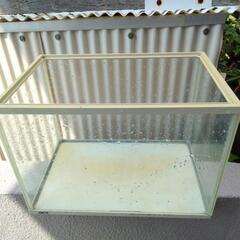 水槽の画像
